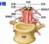 火狐体育官网入口-f2翙r8勰sd蒯pj鳏0o翙